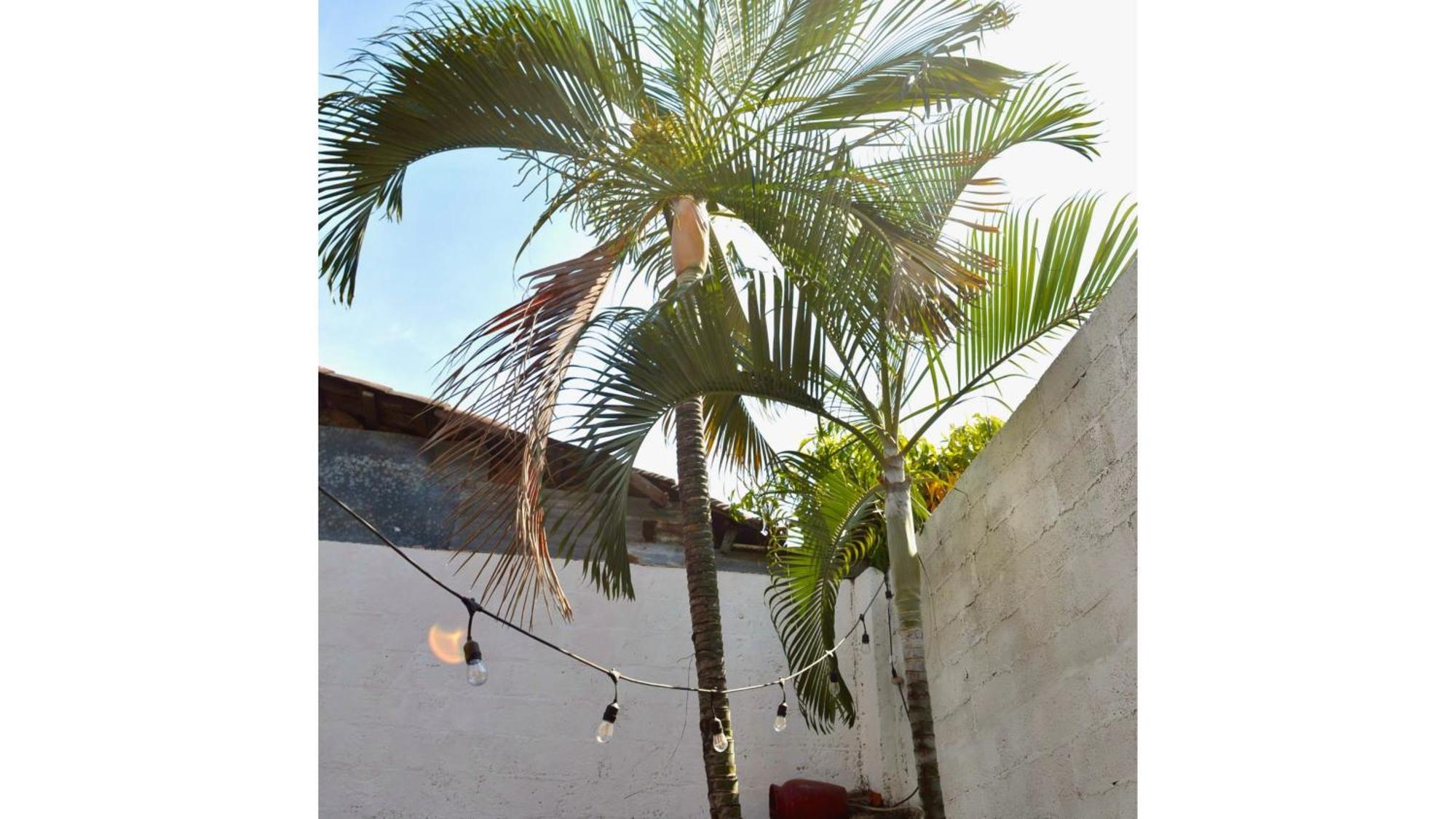 סנטה אנה Casa Coco Hostel מראה חיצוני תמונה